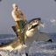 Putin on the Shark