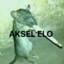 AKSEL ELO