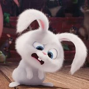 Conejo