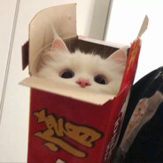 朴昌被告激拔太大