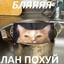лизочка