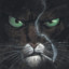 Blacksad