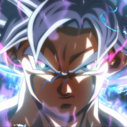 卡卡罗特  自在极意功