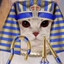 Nefrekitty