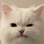 16岁天才白给少年