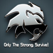 Big Cat
