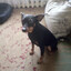 против системы