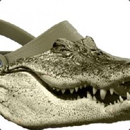 Crocsodile
