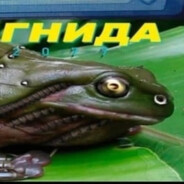 кибергнида