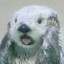 WeeeeEb_