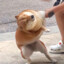 下次去哪看海