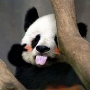 龙卷风摧毁停车场！