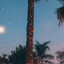 VII