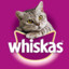 whiskas