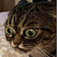 Жеваный крот