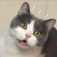 你看我想理你嘛