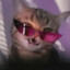 Egor PUMA