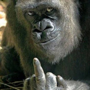 mlekovita-skins.army