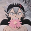 5hark