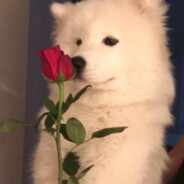 杜子好饿(⊙﹏⊙)