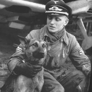 碳基制导玉碎仙人