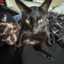 Melvin