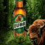 żubr