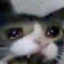 LittleAxolotl