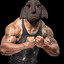 JUST DORITO STRONG