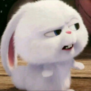 春风与你皆过客