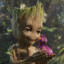 GrooT