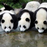 终于有名字了