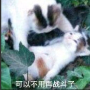 猫猫没有虫