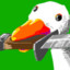 Judgement_Goose