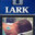 MAVİ LARK