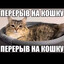 suka ebanaya