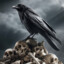 CORVO