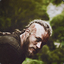 RagnarLothbrok