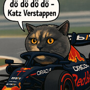 Katz Verstappen