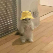 aheles. - steam id 76561199129443954