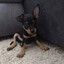 Kacper3