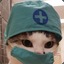 Dr Mittens