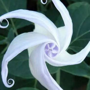 当天空爱上海平面