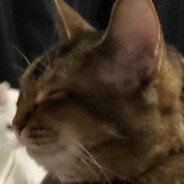 Track 2 of 'I Never Liked You'