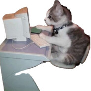 NotReady - steam id 76561199183738788