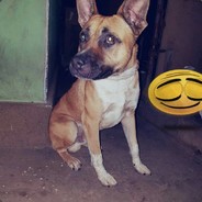 ✪ Karma avatar
