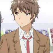 核糖核酸核羊羊