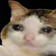  (￣ヘ￣)  - steam id 76561199270325932