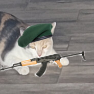 Infantry_Cat