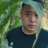 假如我当3天老蒯